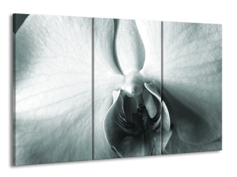 Glasschilderij Bloem | Grijs, Wit, Groen | 165x100cm 3Luik