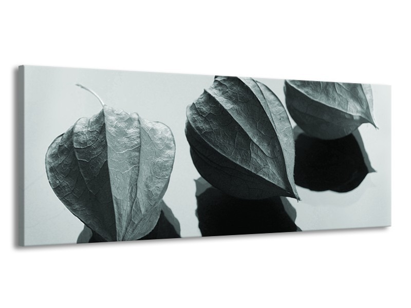 Canvas Schilderij Bloem | Grijs, Wit, Groen | 145x58cm 1Luik