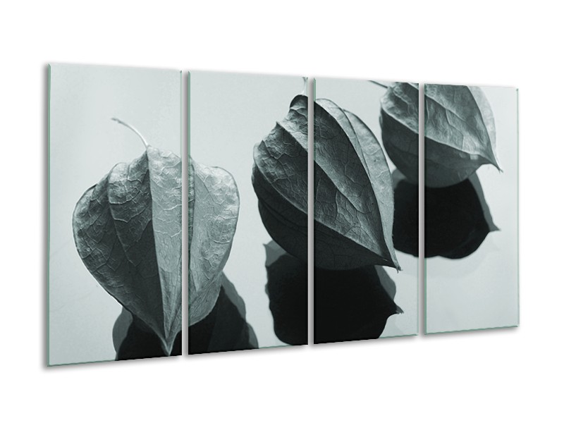 Glasschilderij Bloem | Grijs, Wit, Groen | 160x80cm 4Luik