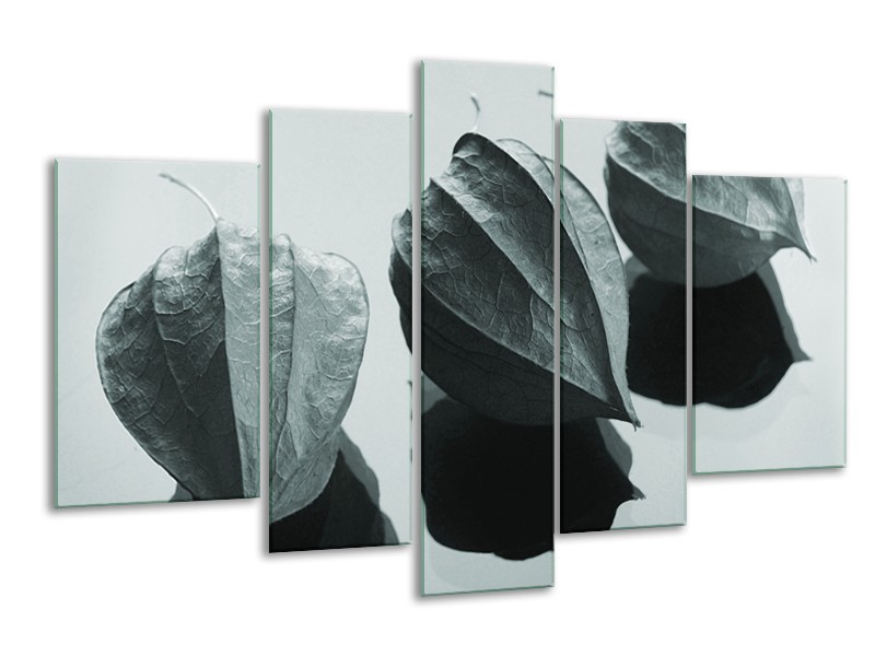 Glasschilderij Bloem | Grijs, Wit, Groen | 170x100cm 5Luik