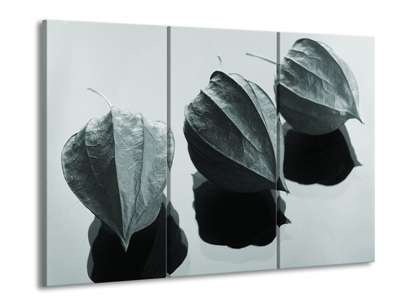 Glasschilderij Bloem | Grijs, Wit, Groen | 60x90cm 3Luik