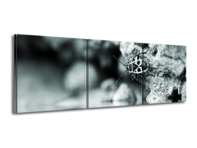 Canvas Schilderij Insect | Grijs, Zwart, Groen | 150x50cm 3Luik