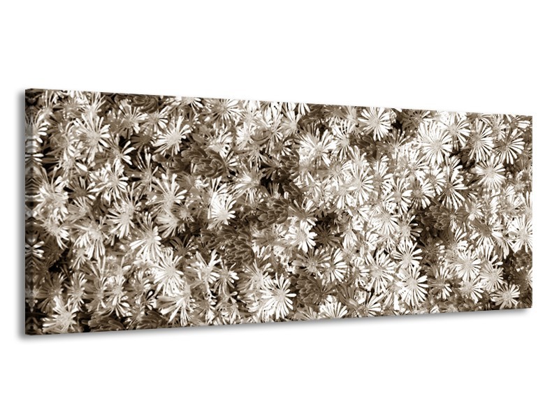 Canvas Schilderij Bloemen | Sepia | 145x58cm 1Luik