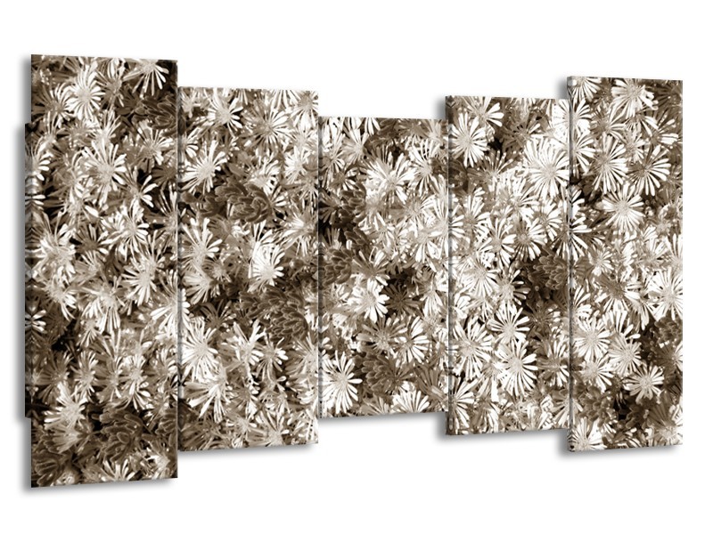 Glasschilderij Bloemen | Sepia | 150x80cm 5Luik