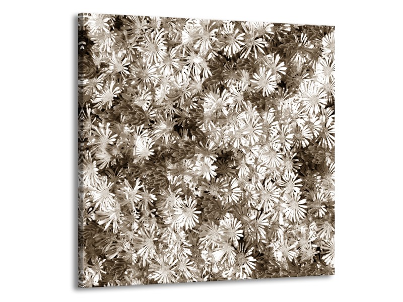 Canvas Schilderij Bloemen | Sepia | 70x70cm 1Luik