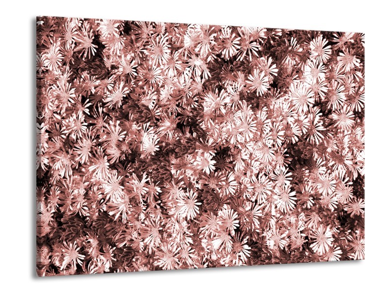 Glasschilderij Bloemen | Bruin, Rood | 100x70cm 1Luik