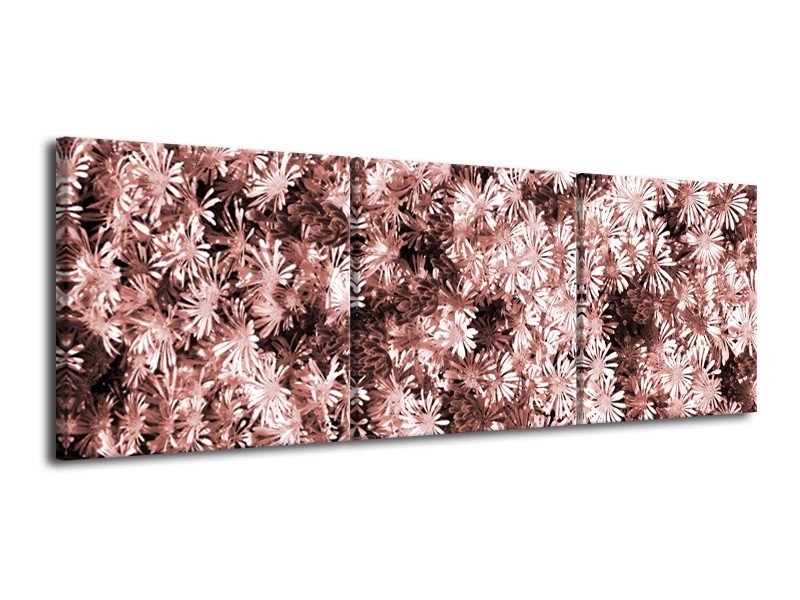 Glasschilderij Bloemen | Bruin, Rood | 120x40cm 3Luik