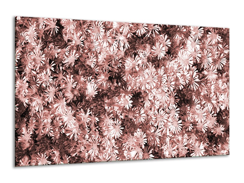 Canvas Schilderij Bloemen | Bruin, Rood | 120x70cm 1Luik