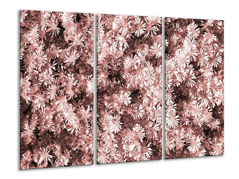 Canvas Schilderij Bloemen | Bruin, Rood | 120x80cm 3Luik