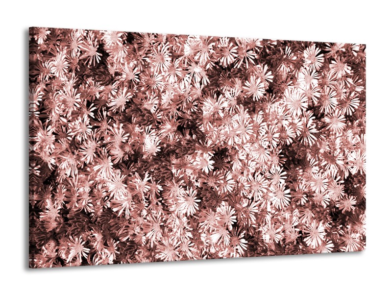 Canvas Schilderij Bloemen | Bruin, Rood | 140x90cm 1Luik