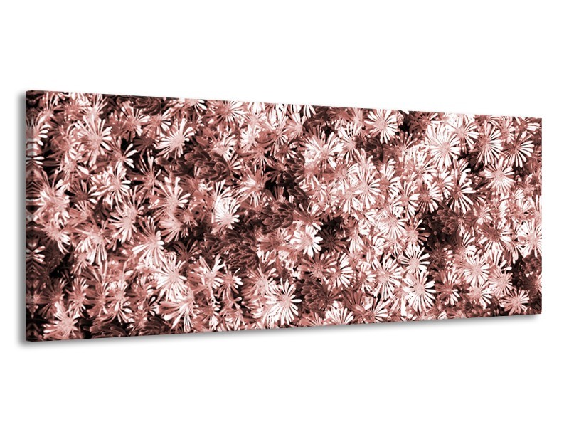 Canvas Schilderij Bloemen | Bruin, Rood | 145x58cm 1Luik