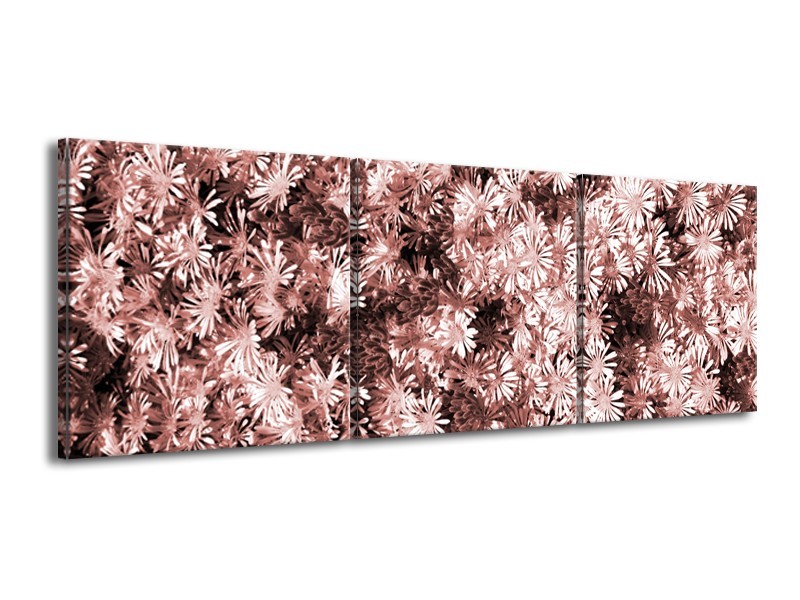 Canvas Schilderij Bloemen | Bruin, Rood | 150x50cm 3Luik