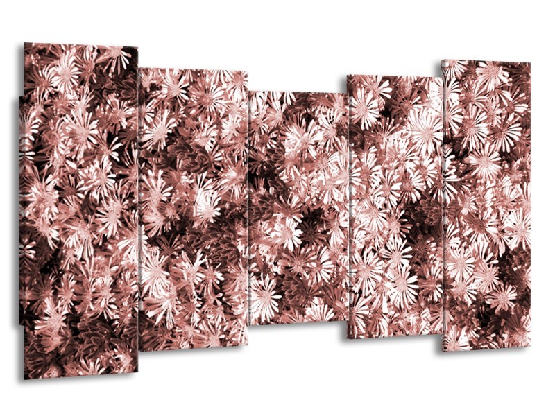 Glasschilderij Bloemen | Bruin, Rood | 150x80cm 5Luik