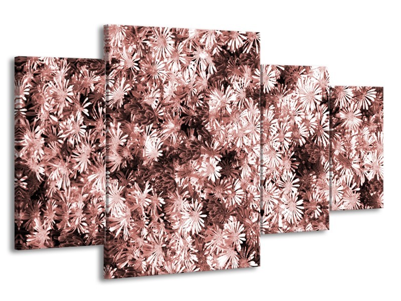 Glasschilderij Bloemen | Bruin, Rood | 160x90cm 4Luik