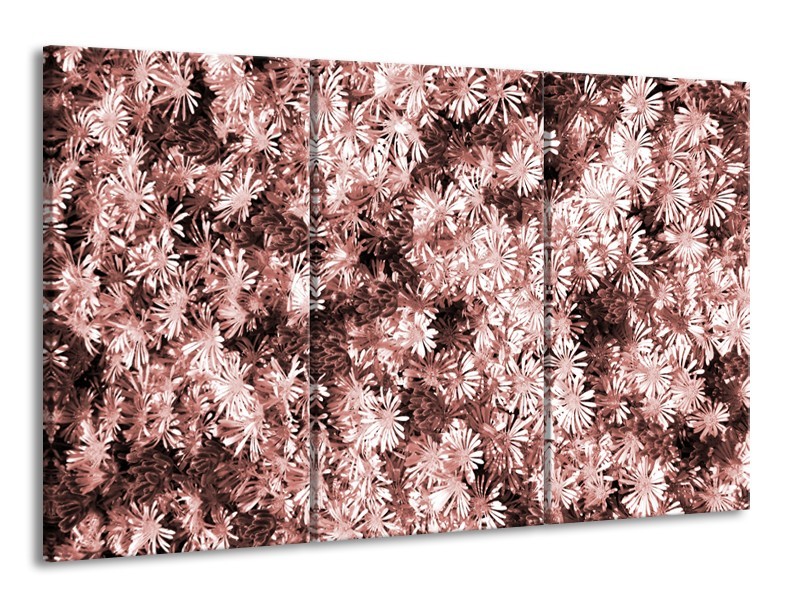 Canvas Schilderij Bloemen | Bruin, Rood | 165x100cm 3Luik