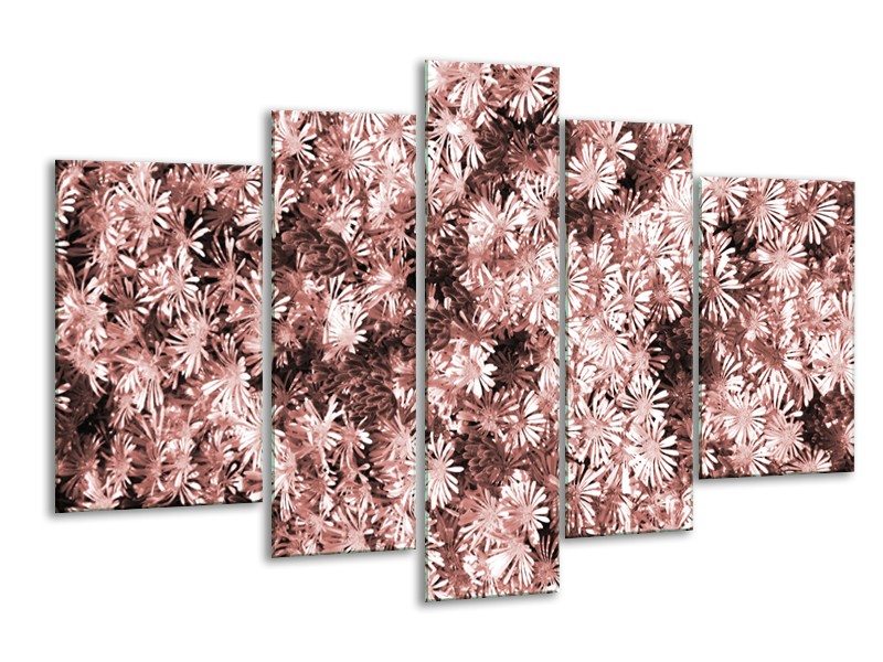 Glasschilderij Bloemen | Bruin, Rood | 170x100cm 5Luik