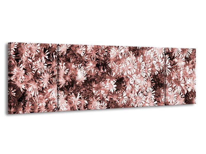 Glasschilderij Bloemen | Bruin, Rood | 170x50cm 3Luik