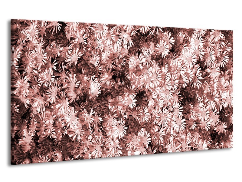 Canvas Schilderij Bloemen | Bruin, Rood | 190x100cm 1Luik