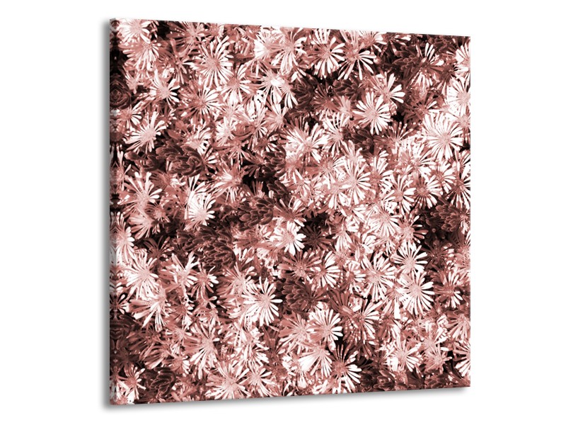 Glasschilderij Bloemen | Bruin, Rood | 50x50cm 1Luik