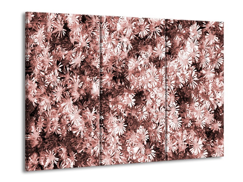 Glasschilderij Bloemen | Bruin, Rood | 60x90cm 3Luik