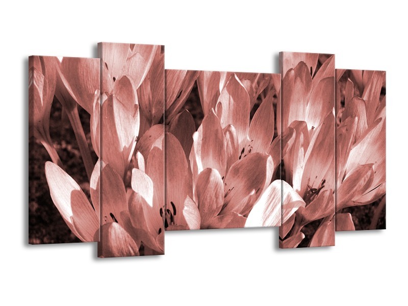 Canvas Schilderij Bloemen, Krokus | Bruin, Rood | 120x65cm 5Luik