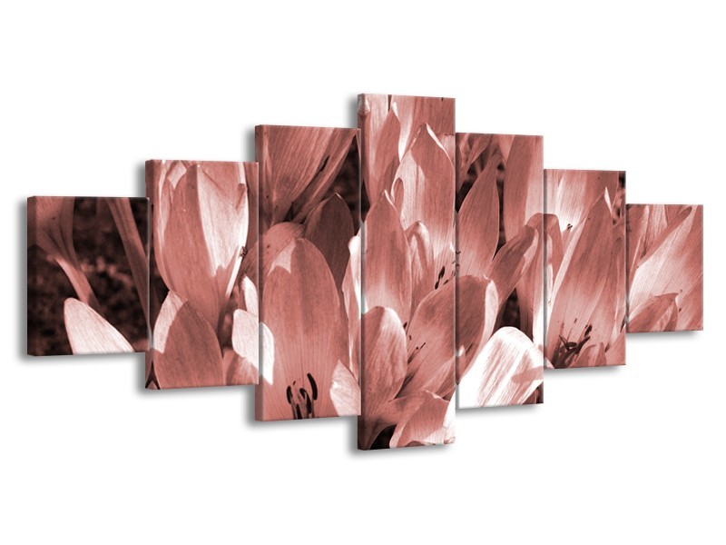 Glasschilderij Bloemen, Krokus | Bruin, Rood | 210x100cm 7Luik