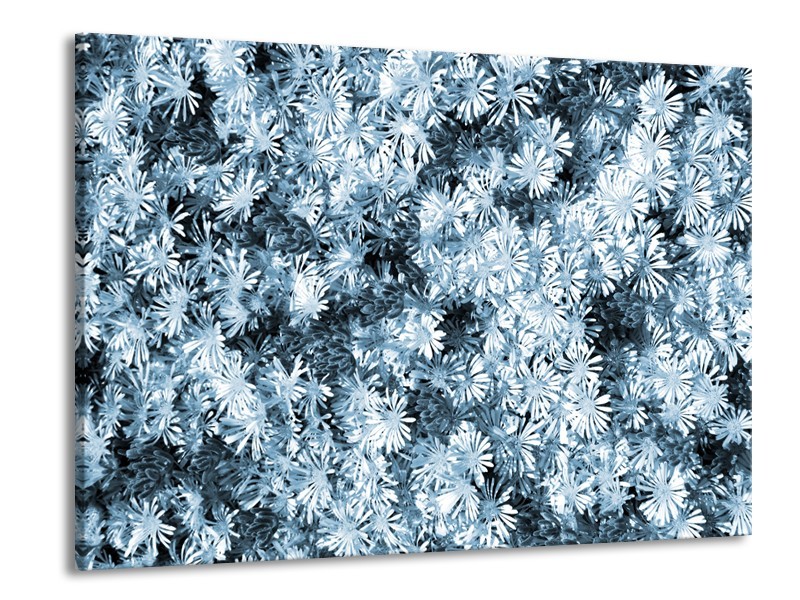 Glasschilderij Bloemen | Blauw, Grijs | 100x70cm 1Luik