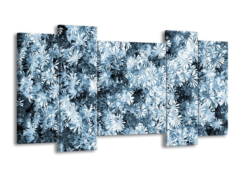 Glasschilderij Bloemen | Blauw, Grijs | 120x65cm 5Luik