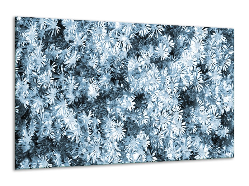 Canvas Schilderij Bloemen | Blauw, Grijs | 120x70cm 1Luik