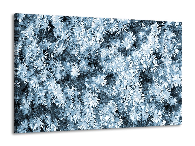 Canvas Schilderij Bloemen | Blauw, Grijs | 140x90cm 1Luik