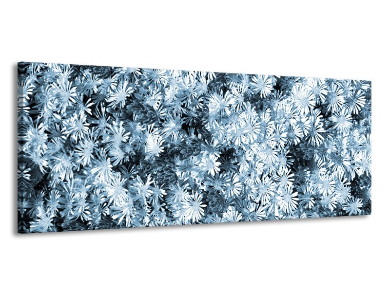 Canvas Schilderij Bloemen | Blauw, Grijs | 145x58cm 1Luik