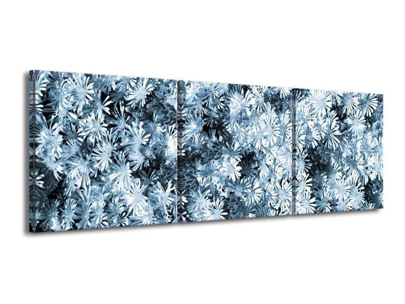 Canvas Schilderij Bloemen | Blauw, Grijs | 150x50cm 3Luik