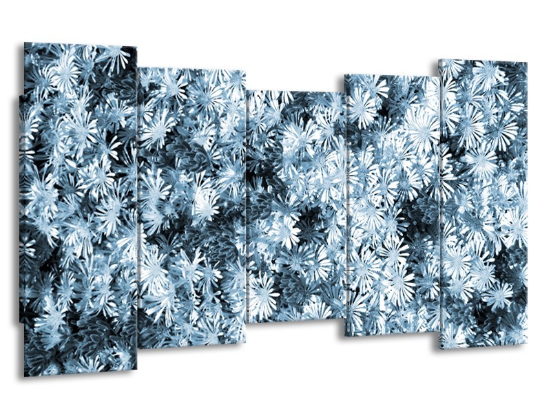 Glasschilderij Bloemen | Blauw, Grijs | 150x80cm 5Luik