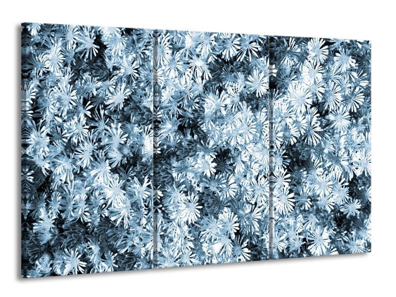 Canvas Schilderij Bloemen | Blauw, Grijs | 165x100cm 3Luik