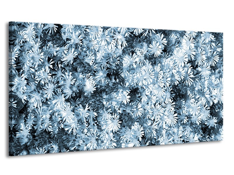 Canvas Schilderij Bloemen | Blauw, Grijs | 170x90cm 1Luik