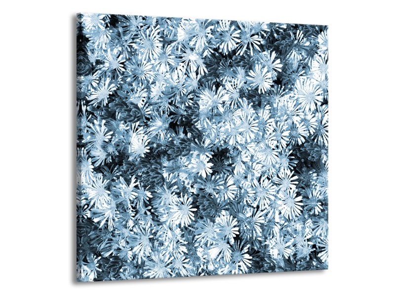 Glasschilderij Bloemen | Blauw, Grijs | 50x50cm 1Luik