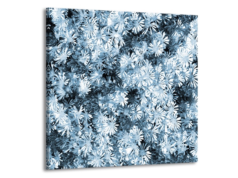 Canvas Schilderij Bloemen | Blauw, Grijs | 70x70cm 1Luik