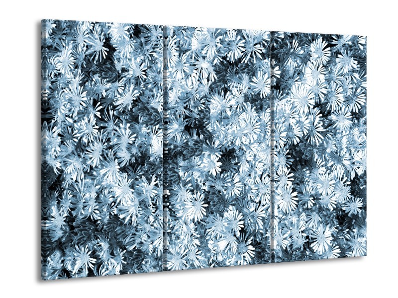 Glasschilderij Bloemen | Blauw, Grijs | 60x90cm 3Luik