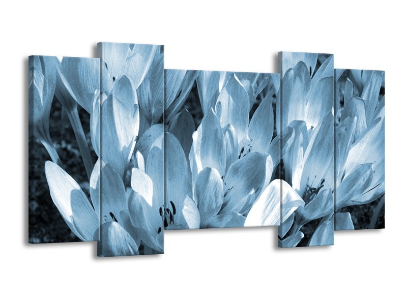 Canvas Schilderij Bloemen, Krokus | Blauw, Grijs | 120x65cm 5Luik