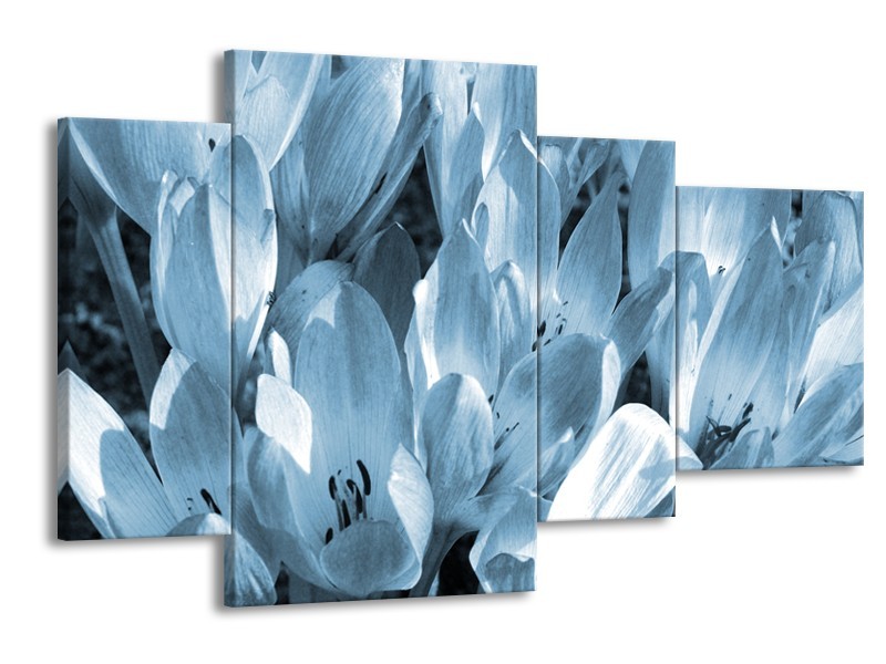 Glasschilderij Bloemen, Krokus | Blauw, Grijs | 120x75cm 4Luik