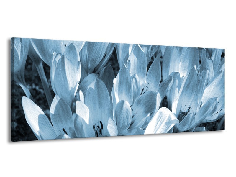 Canvas Schilderij Bloemen, Krokus | Blauw, Grijs | 145x58cm 1Luik