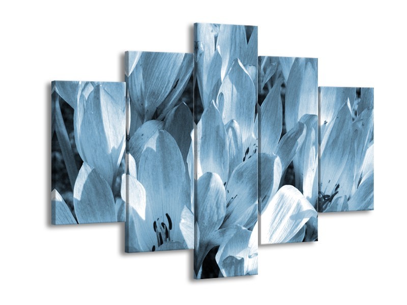 Glasschilderij Bloemen, Krokus | Blauw, Grijs | 150x105cm 5Luik