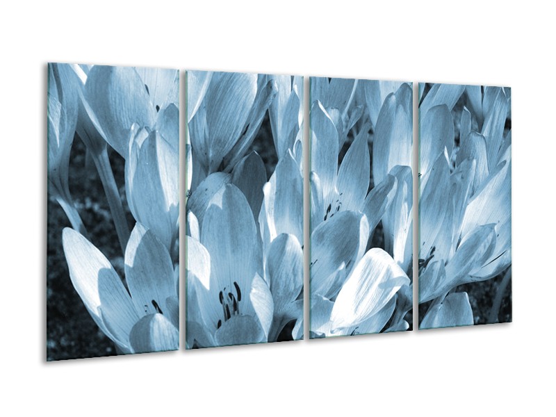 Canvas Schilderij Bloemen, Krokus | Blauw, Grijs | 160x80cm 4Luik