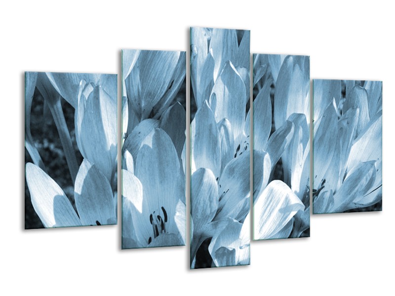 Canvas Schilderij Bloemen, Krokus | Blauw, Grijs | 170x100cm 5Luik