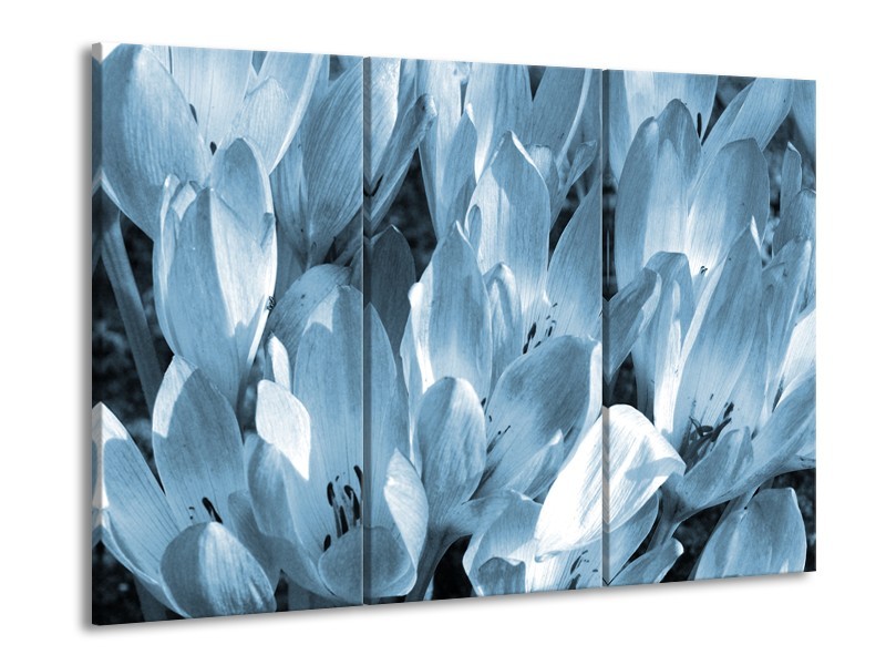 Canvas Schilderij Bloemen, Krokus | Blauw, Grijs | 60x90cm 3Luik