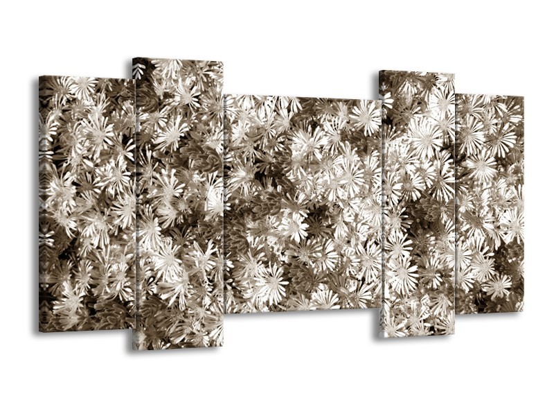 Glasschilderij Bloemen | Sepia | 120x65cm 5Luik