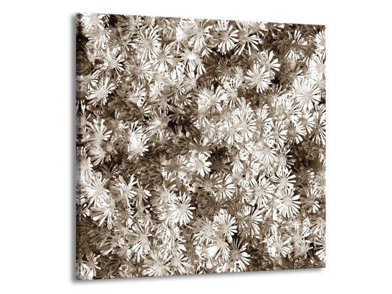 Glasschilderij Bloemen | Sepia | 50x50cm 1Luik