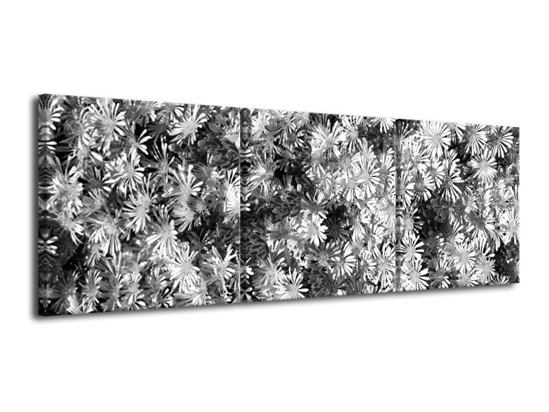 Glasschilderij Bloemen | Zwart, Wit, Grijs | 120x40cm 3Luik