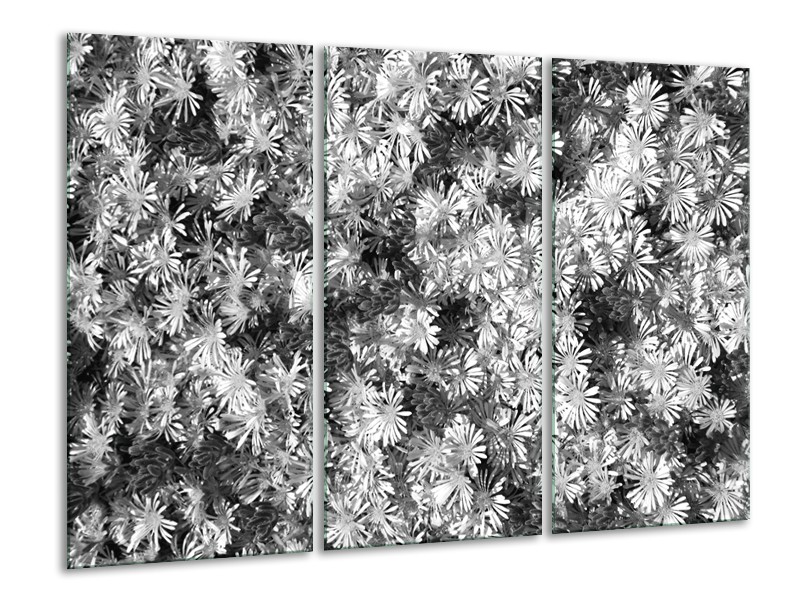 Glasschilderij Bloemen | Zwart, Wit, Grijs | 120x80cm 3Luik