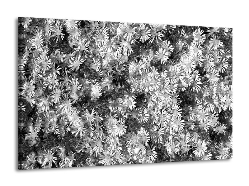 Glasschilderij Bloemen | Zwart, Wit, Grijs | 140x90cm 1Luik